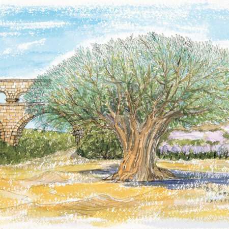 垣内宣子《世界遺産「ポン・デュ・ガール（ガール橋）」と巨大なオリーブの木》